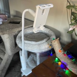 Telephone holder for desks